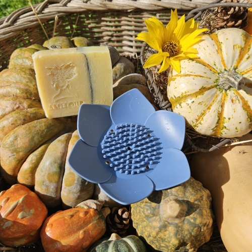 Porte savon solide nénuphar dès 60.- d'achats